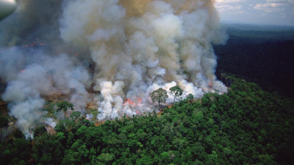 Imagen Venezuela ofrece sumarse para sofocar incendios en la Amazonia