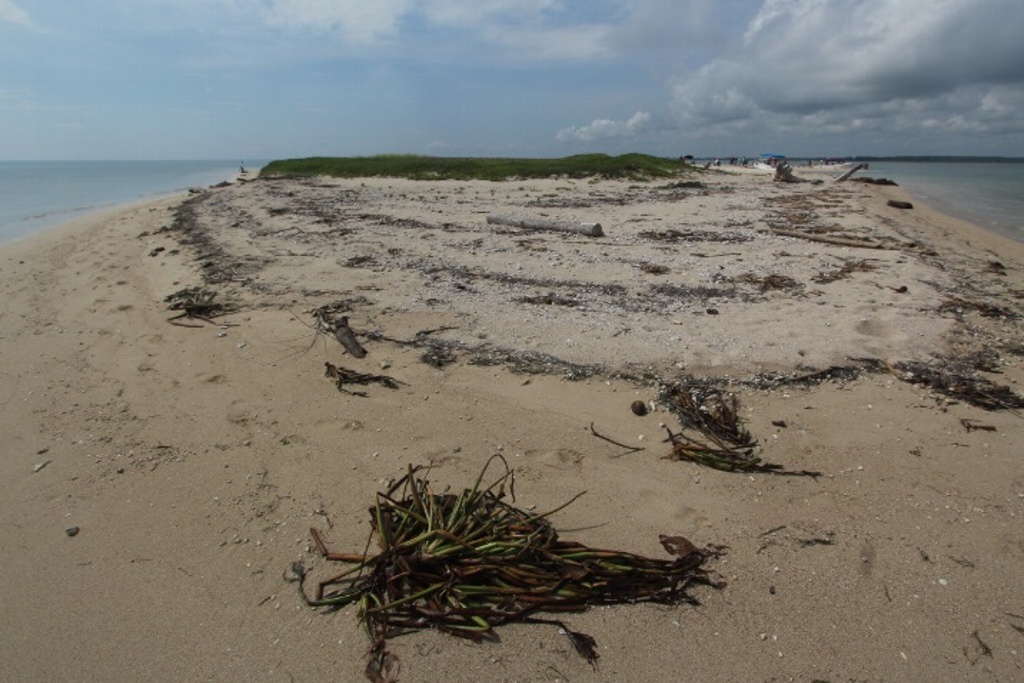 Imagen Hacen estudio para abrir la isla Salmedina de Veracruz