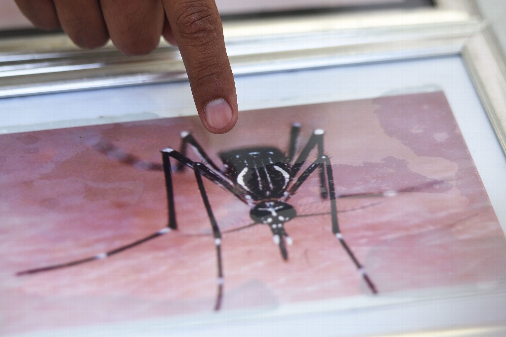 Imagen Xalapa es foco rojo en dengue: IMSS Veracruz