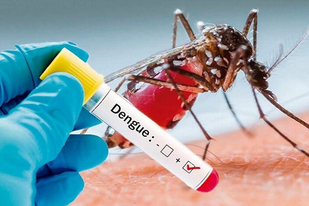 Imagen Reporta alcalde de Coatepec más de 200 casos de Dengue; investigan un fallecimiento