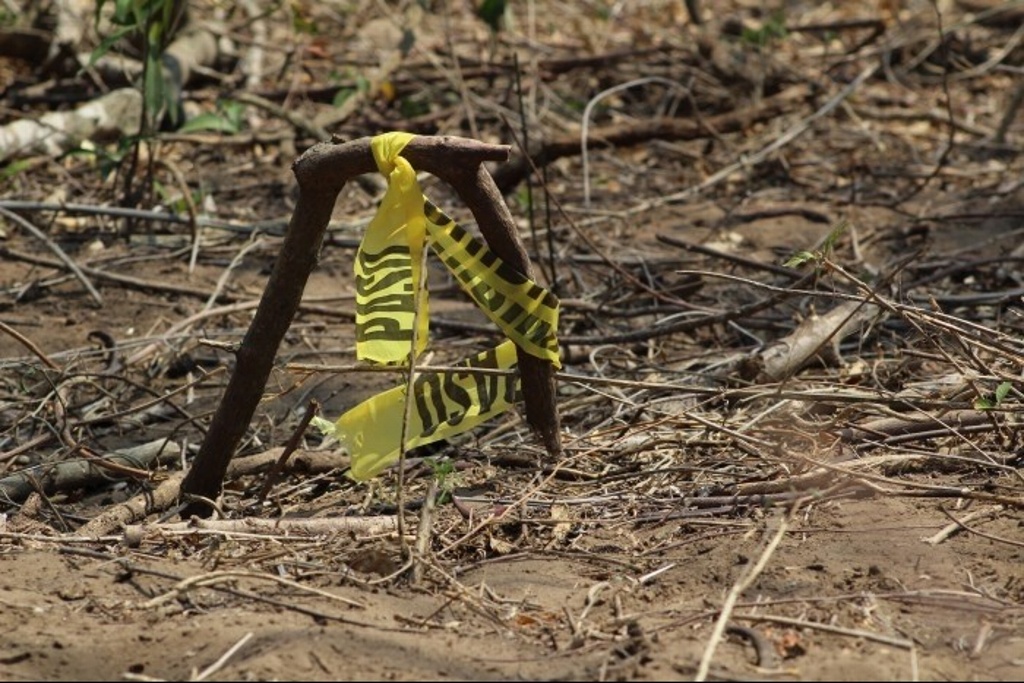 Imagen Extraen más de 100 bolsas con restos humanos de fosa clandestina en Zapopan