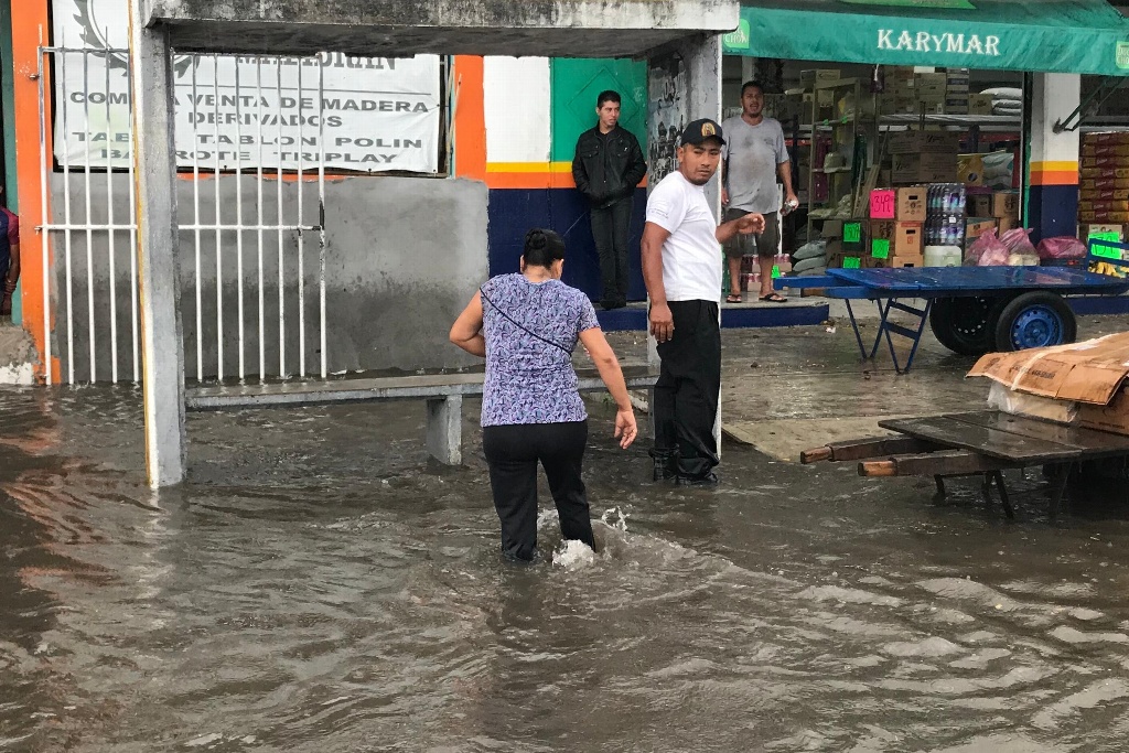 Imagen Inundación afecta viviendas, causa choques y caos en Veracruz