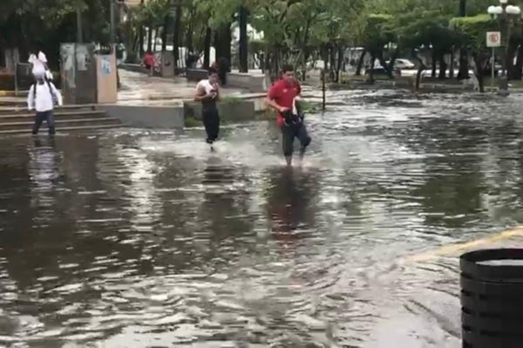 Imagen Colectores de Veracruz se vieron rebasados por intensa lluvia en corto tiempo: Director