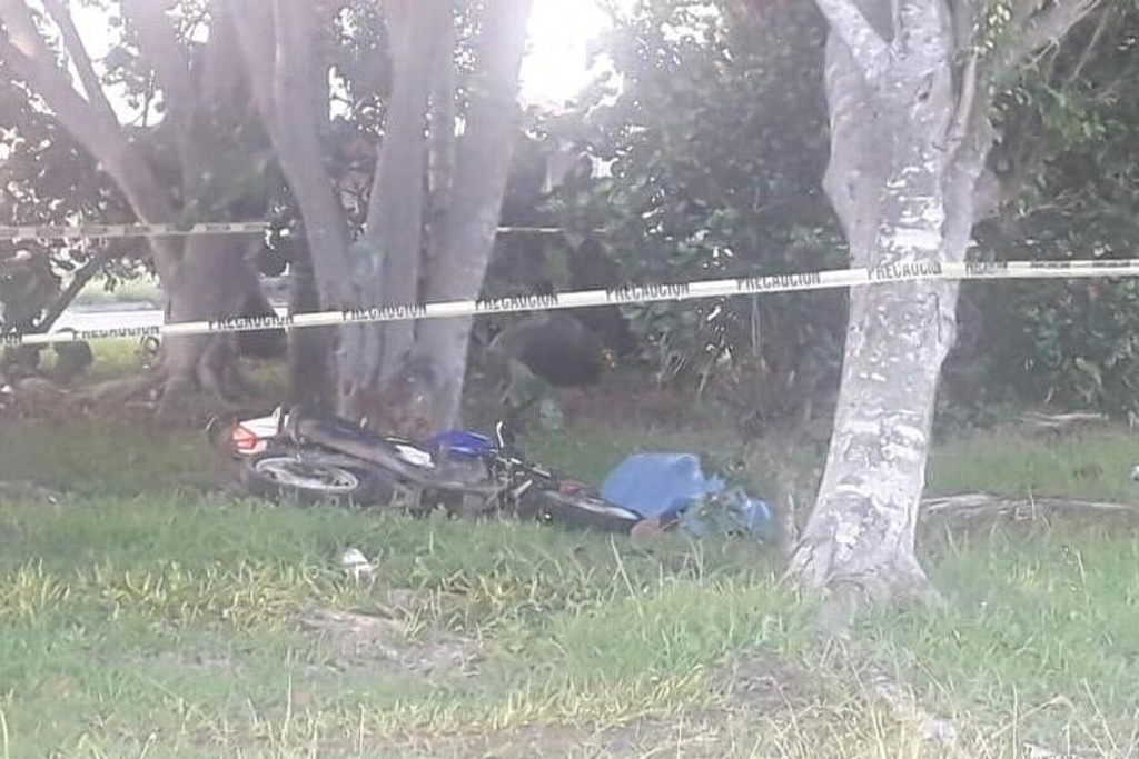 Imagen Motociclista se estrella contra árboles y muere en Medellín, Veracruz