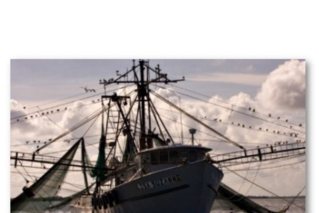 Imagen México y EU concertan acciones de conservación de recursos pesqueros