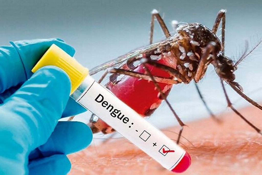 Imagen Analiza Secretaría de Salud si 27 muertes están relacionadas con dengue en Veracruz