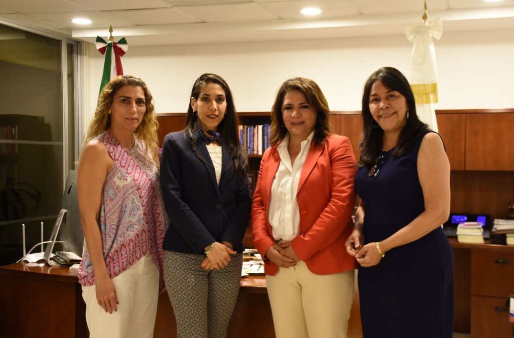 Imagen Se reúne encargada de Fiscalía de Veracruz con integrante del Instituto Nacional de las Mujeres