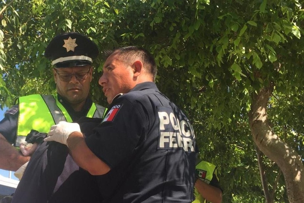 Imagen Policías federales ayudan a dar a luz a una mujer en carretera rumbo a Cancún