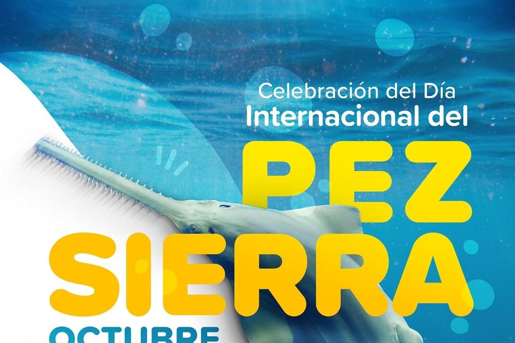 Imagen Acuario de Veracruz festeja con concurso y actividades el día del Pez Sierra