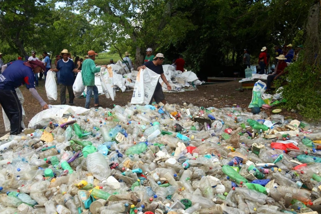Imagen Municipios de Cuichapa y Omealca responsables de ecocidio en Río Blanco, en Veracruz: PMA
