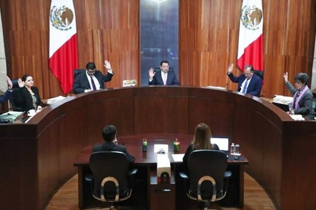 Imagen Yeidckol y Luján tienen derecho a buscar dirigencia de Morena: Tribunal Electoral