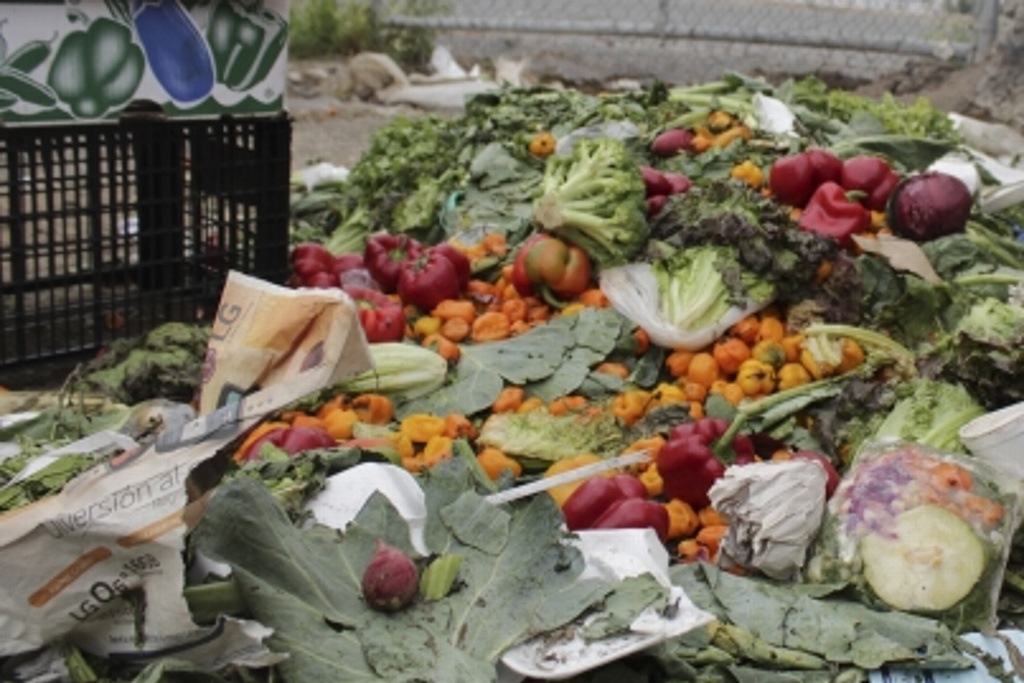 Imagen Consideran que reducir desperdicio de alimentos ayudará al medio ambiente