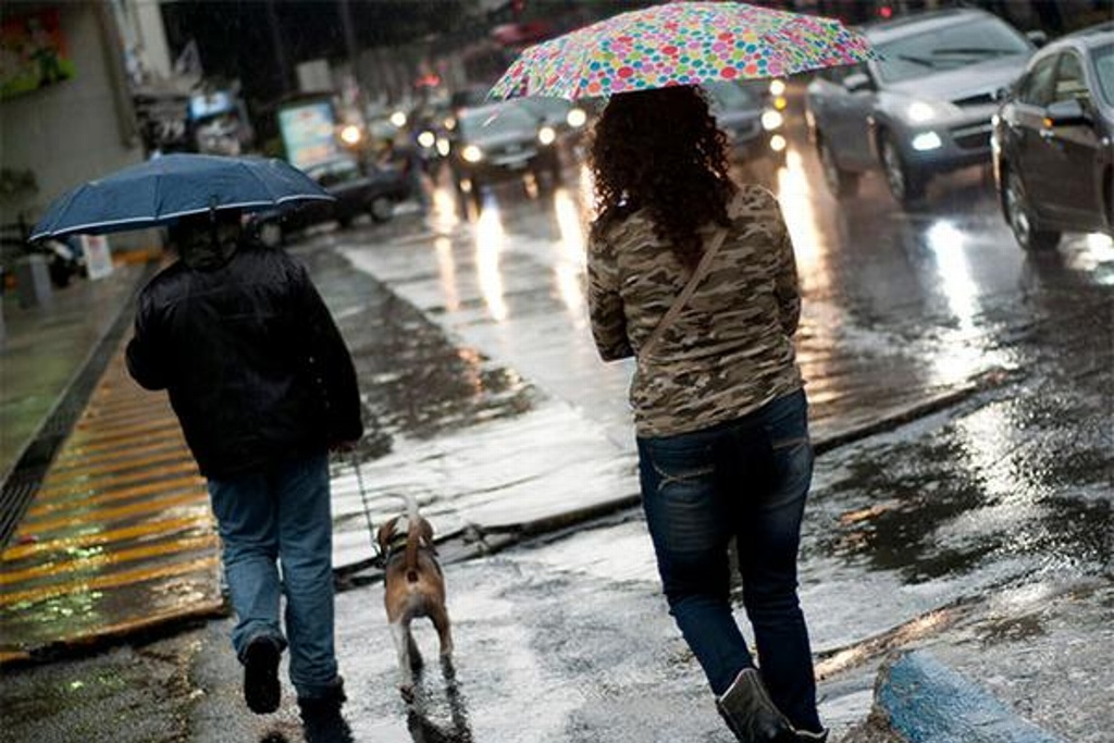 Imagen Lluvias extraordinarias en Veracruz y Guerrero; torrenciales en 7 estados: SMN