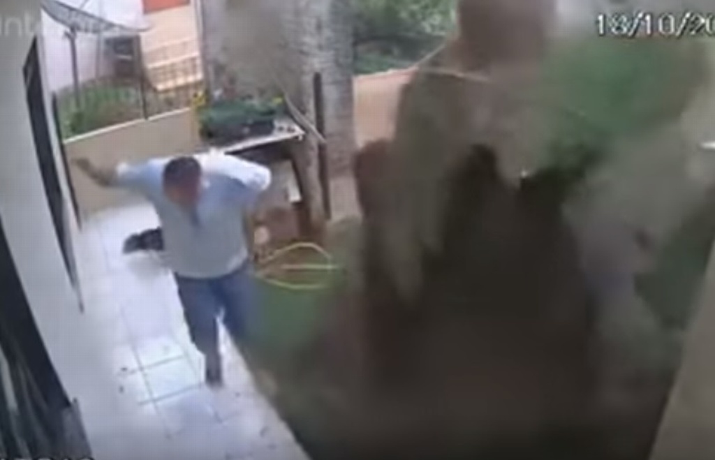 Imagen Hombre explota su patio para deshacerse de plaga de cucarachas (+video)