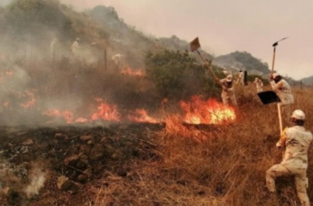 Imagen Controlan entre 80 y 90 por ciento incendios en Ensenada y Tecate