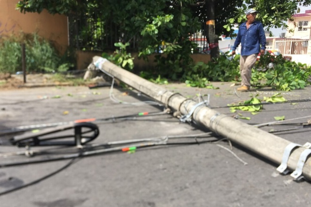Imagen Restablecidas, 83.9% de afectaciones tras fuertes vientos y lluvias en Veracruz: CFE 