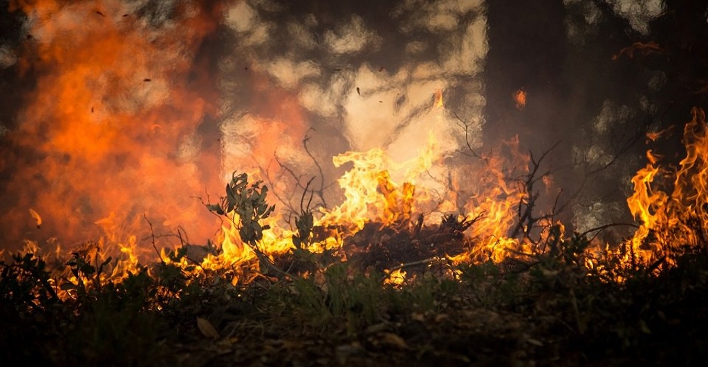 Imagen Incendios forestales en Australia dejan dos muertos y siete desaparecidos