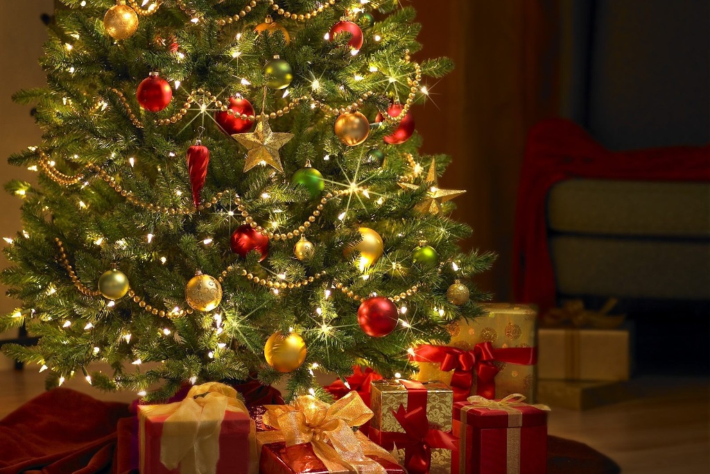 Imagen ¿Sabes cuándo se pone el árbol de Navidad? 