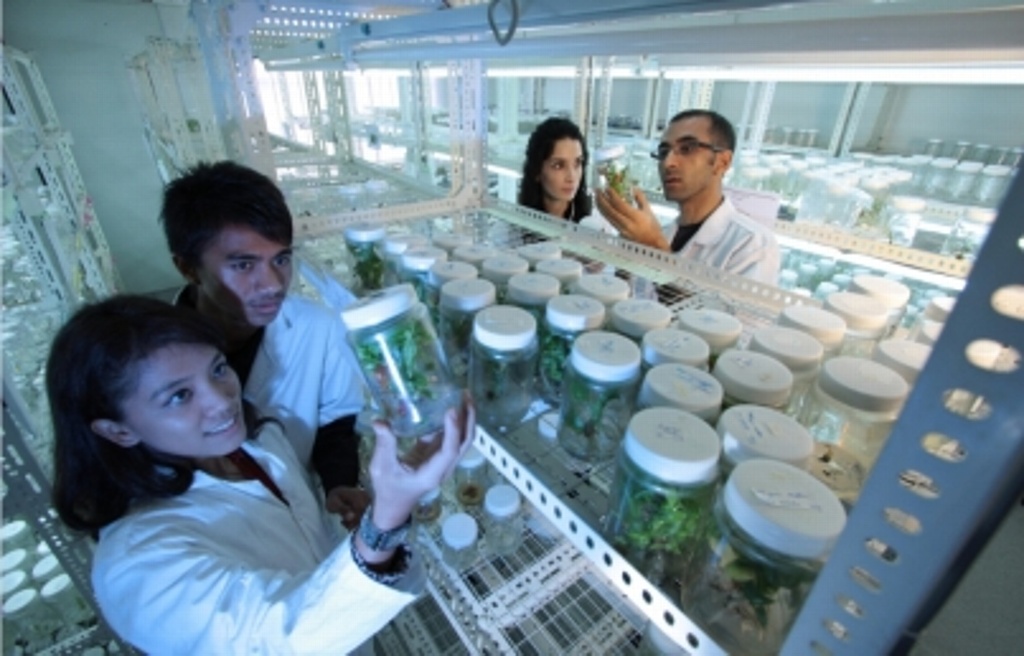 Imagen Instituto de Biotecnología de la UNAM concede 98 patentes a empresas