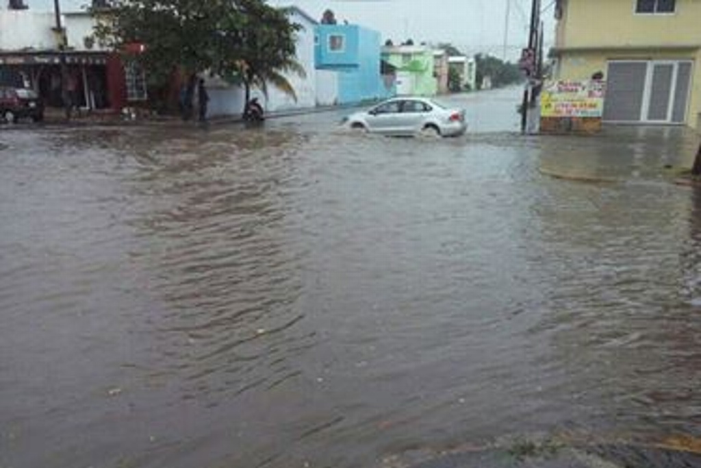 Imagen Inundaciones en colonias de Veracruz alcanzaron hasta medio metro: PC