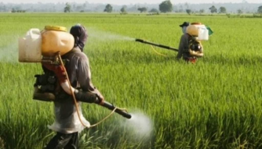 Imagen Hallan solución para mitigar el uso de pesticidas