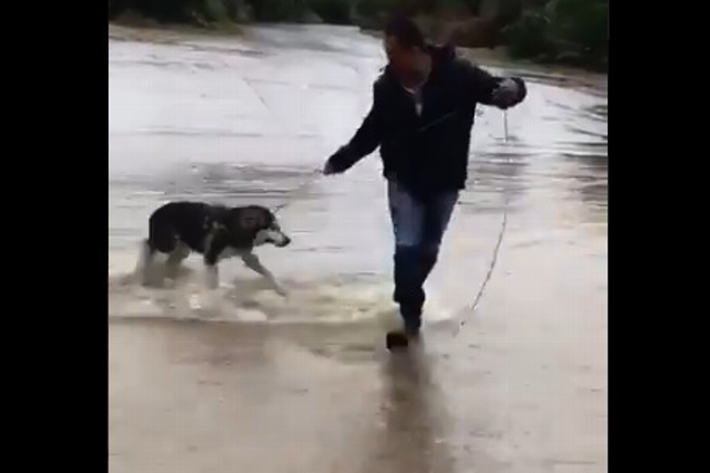 Imagen Funcionario rescata a perro arrastrado por río, en Sonora (+Video)