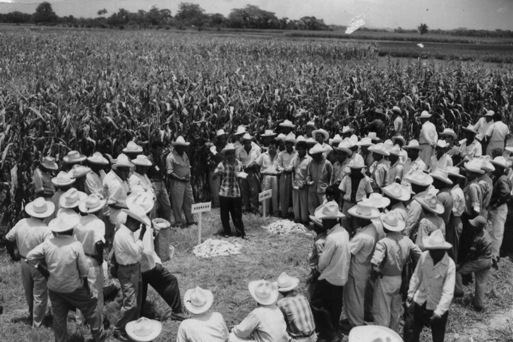 campo experimental de cotaxtla