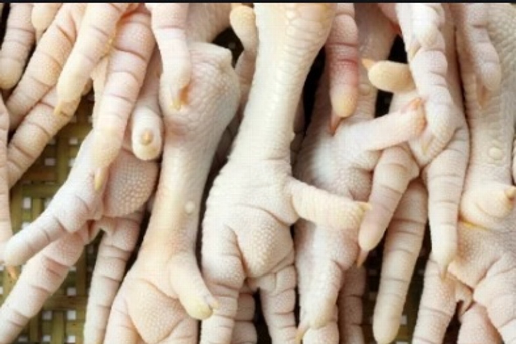 Imagen Las patas de pollo aportan calcio, magnesio, silicio y colágeno: Especialistas 