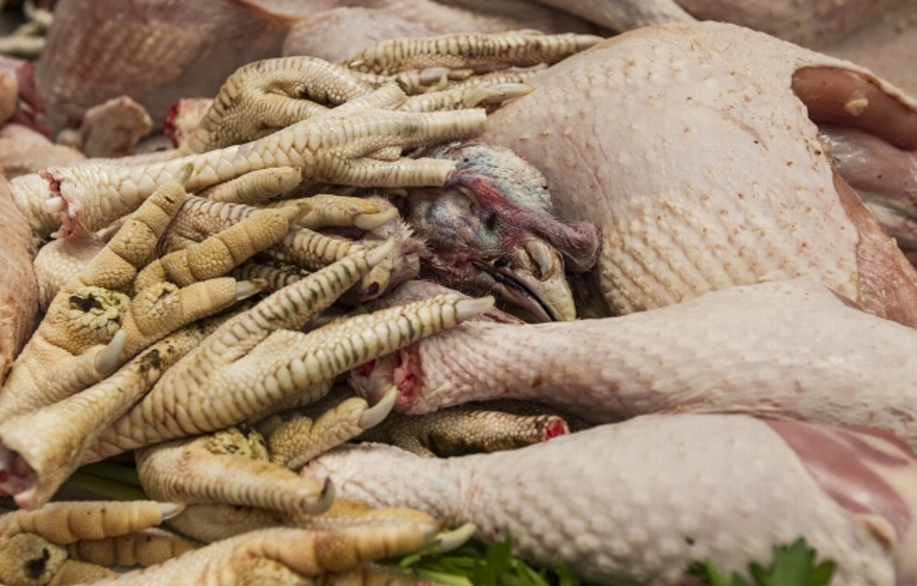 Imagen Las patas de pollo aportan calcio, magnesio, silicio y colágeno: especialistas