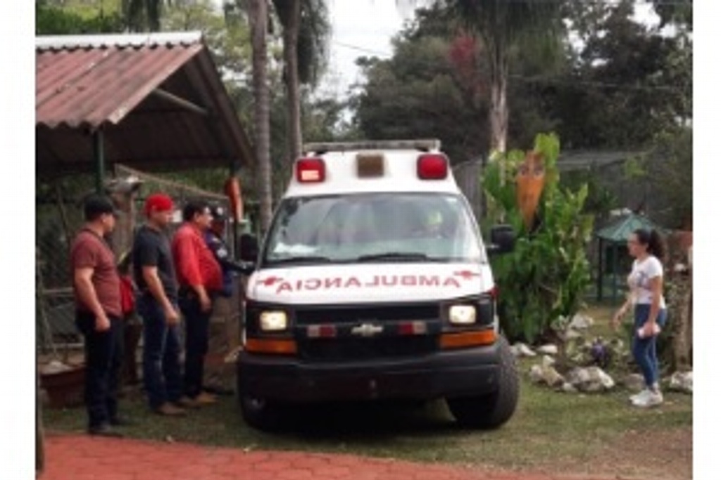 Imagen Jaguar ataca a mujer en reserva animal de Córdoba, Veracruz