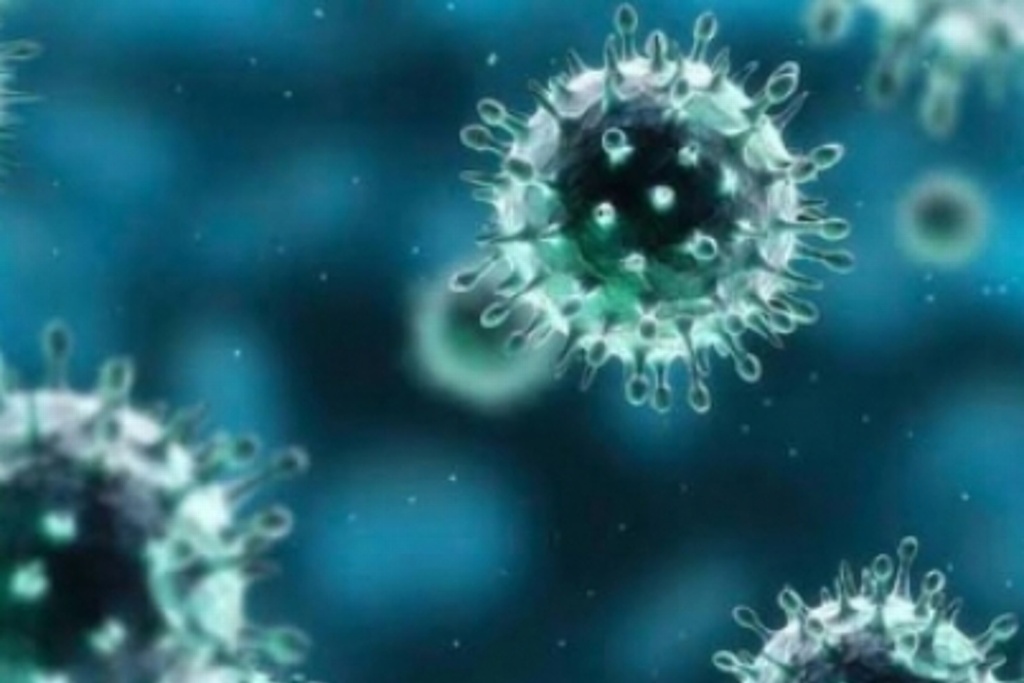 Imagen Así se ve el nuevo coronavirus desde un microscopio