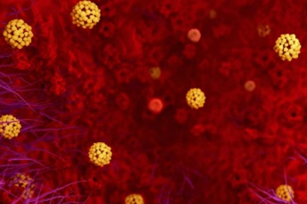 Imagen Confirman 5 casos de coronavirus en Estados Unidos