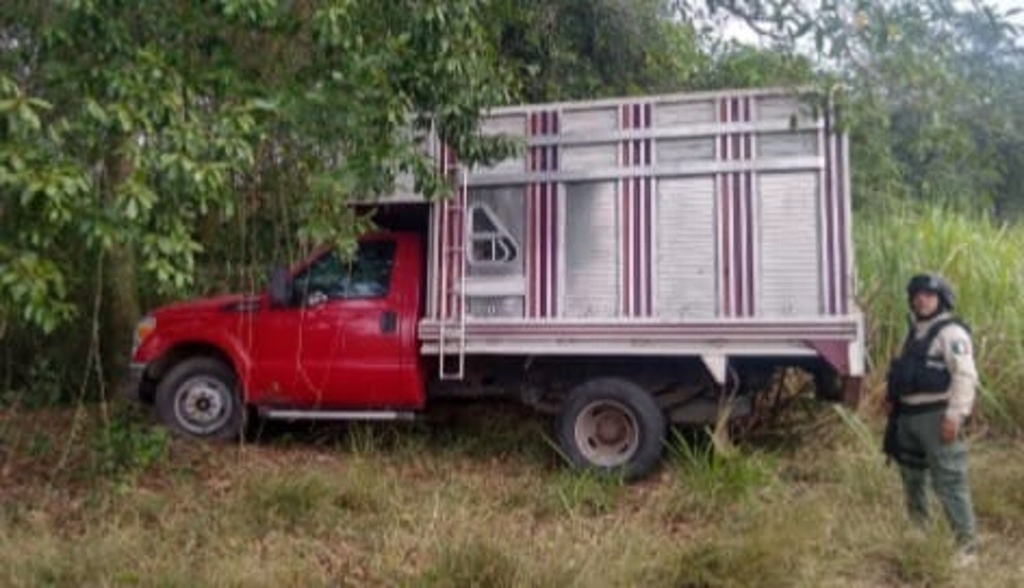 Imagen Recuperan 13 vehículos con reporte de robo en el estado de Veracruz (+Fotos)