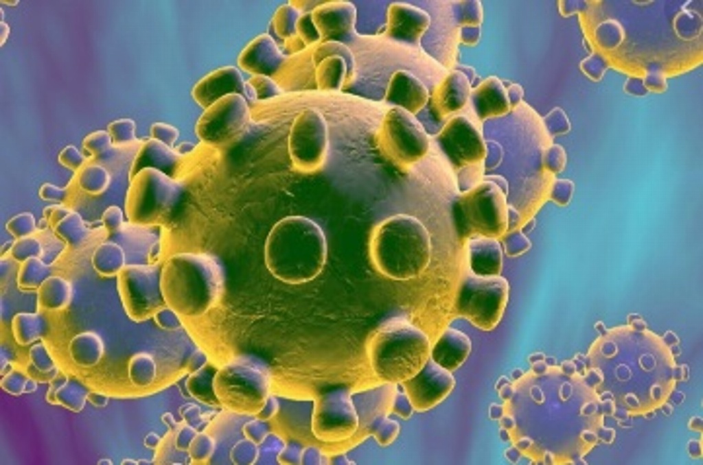 Imagen Califica OMS al coronavirus como 