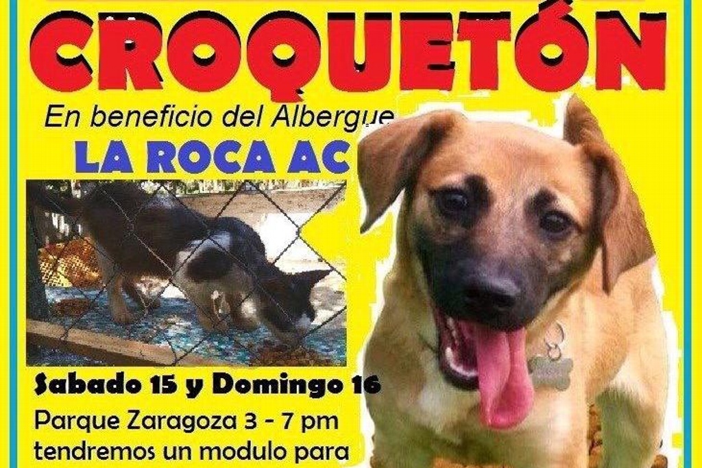 Imagen Realizan croquetón a beneficio de perritos del albergue La Roca