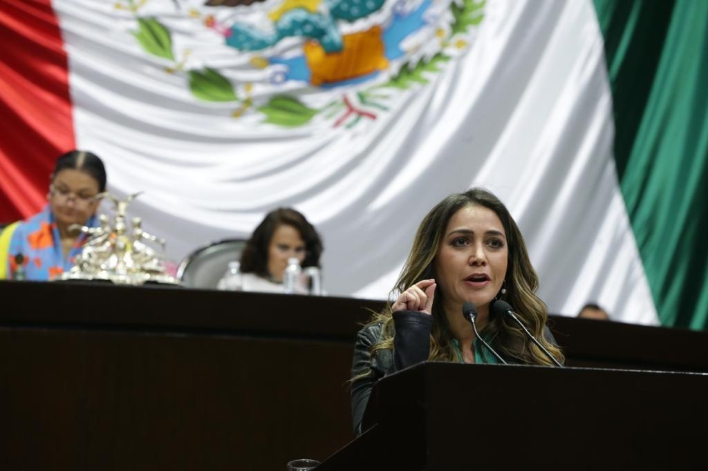 Imagen Por impunidad, delito de feminicidio crece; se debe homologar en el país: PRI