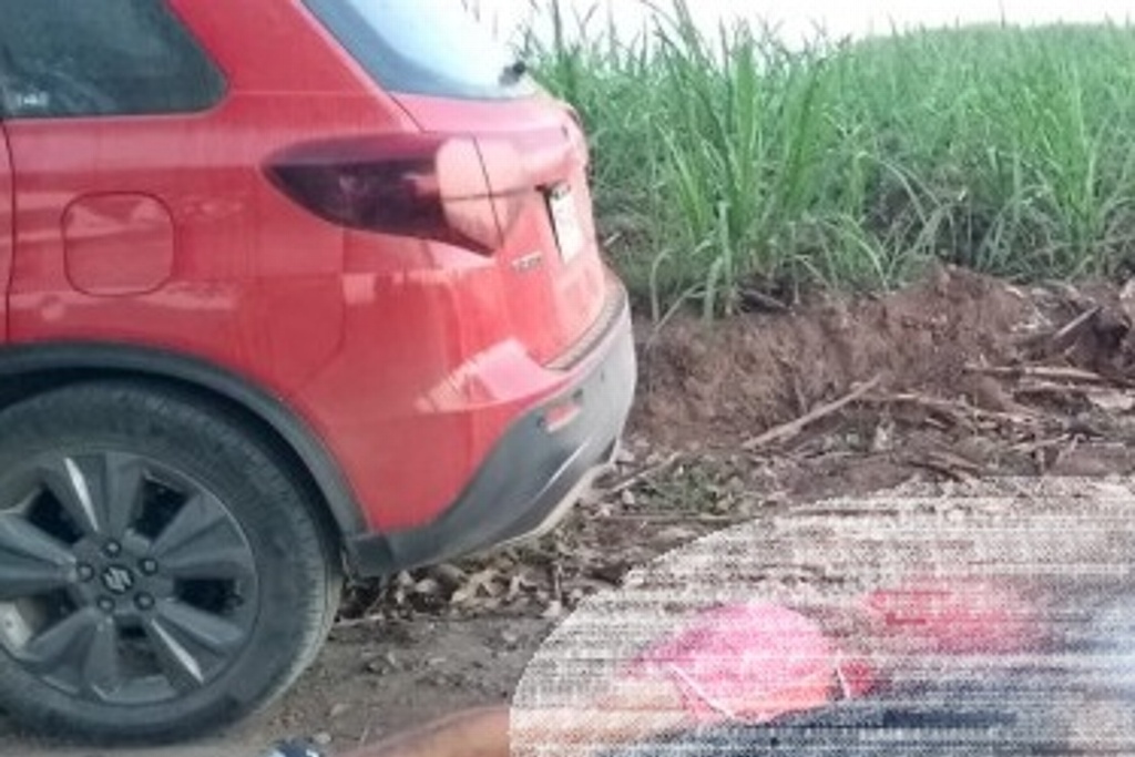 Imagen Abandonan tres cuerpos entre los límites de Veracruz y Oaxaca