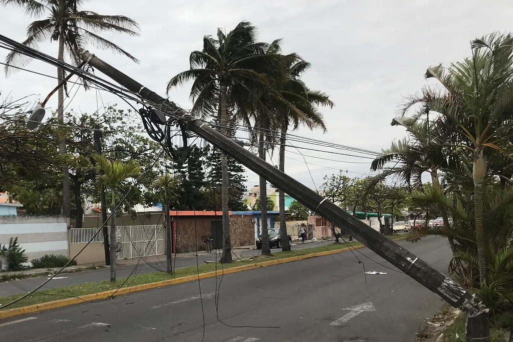 Imagen Caos vial en fraccionamiento Floresta de Veracruz por postes caídos 
