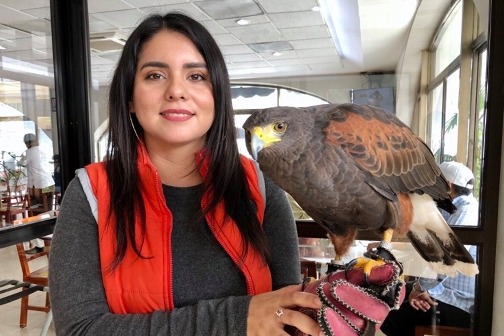 Imagen Han rescatado cinco mil animales entre aves y otras especies en Veracruz