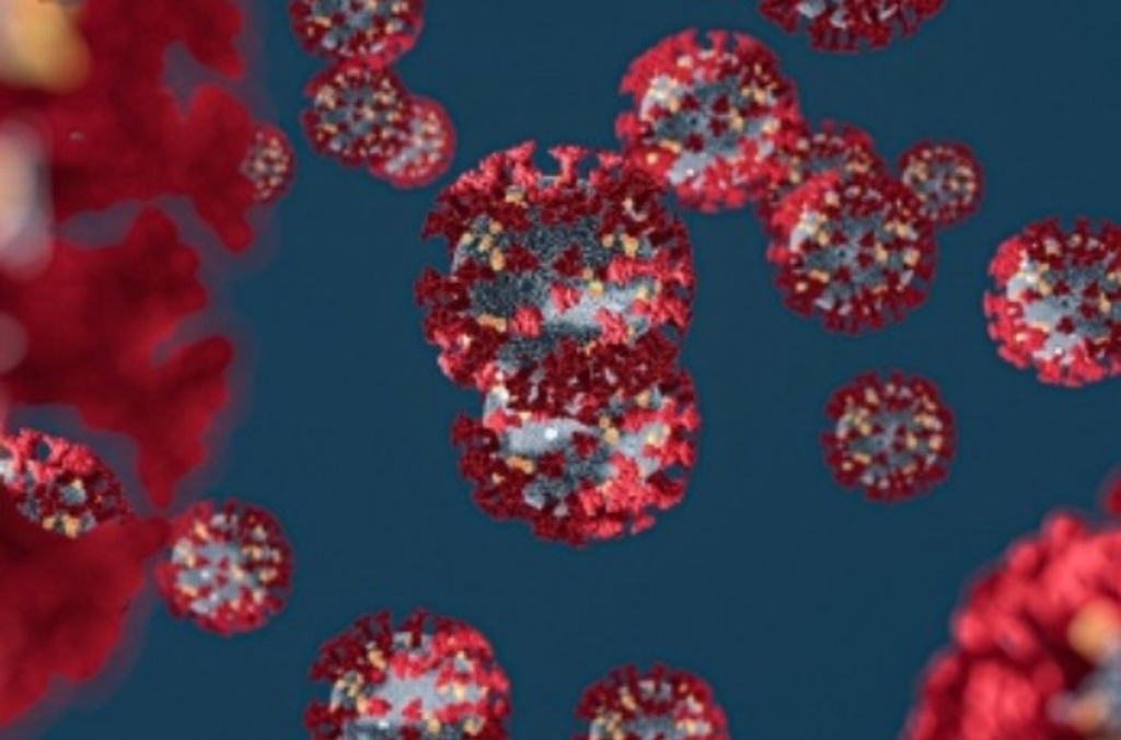 Imagen Checa en cuántos días se incuba el SAR CoV2, virus que provoca el coronavirus