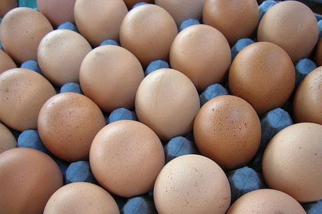 Imagen Alertan comerciantes por alza del precio del huevo