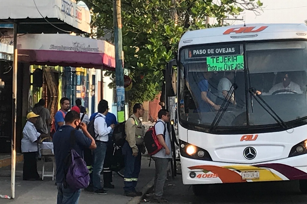 Imagen Usuarios de transporte urbano esperan rutas hasta 1 hora en Veracruz