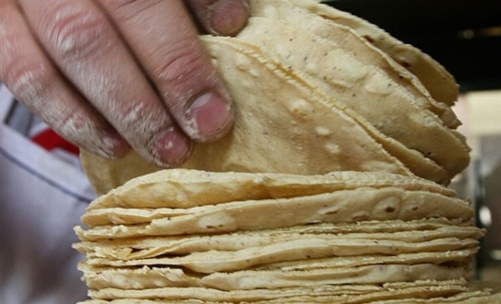 Imagen Sube precio de la tortilla hasta a 22 pesos, pero solo donde usan maíz al 100%: Unión de Molineros