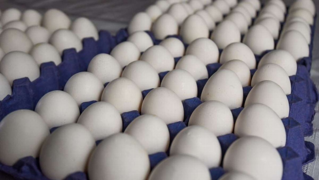 Imagen Clausura profeco cuatro establecimientos por aumentar precio del huevo en el estado de Veracruz