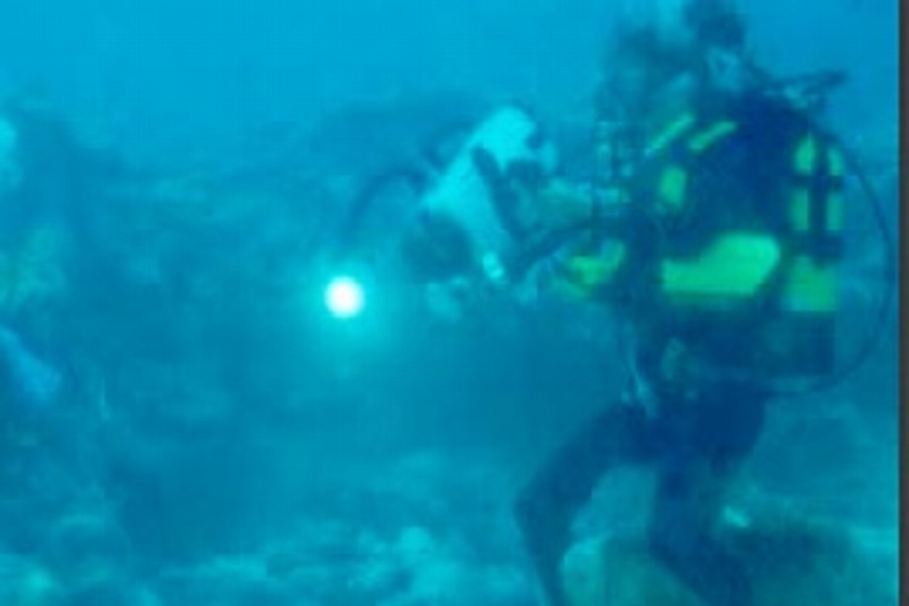 Imagen Comparten en línea los tesoros subacuáticos del país