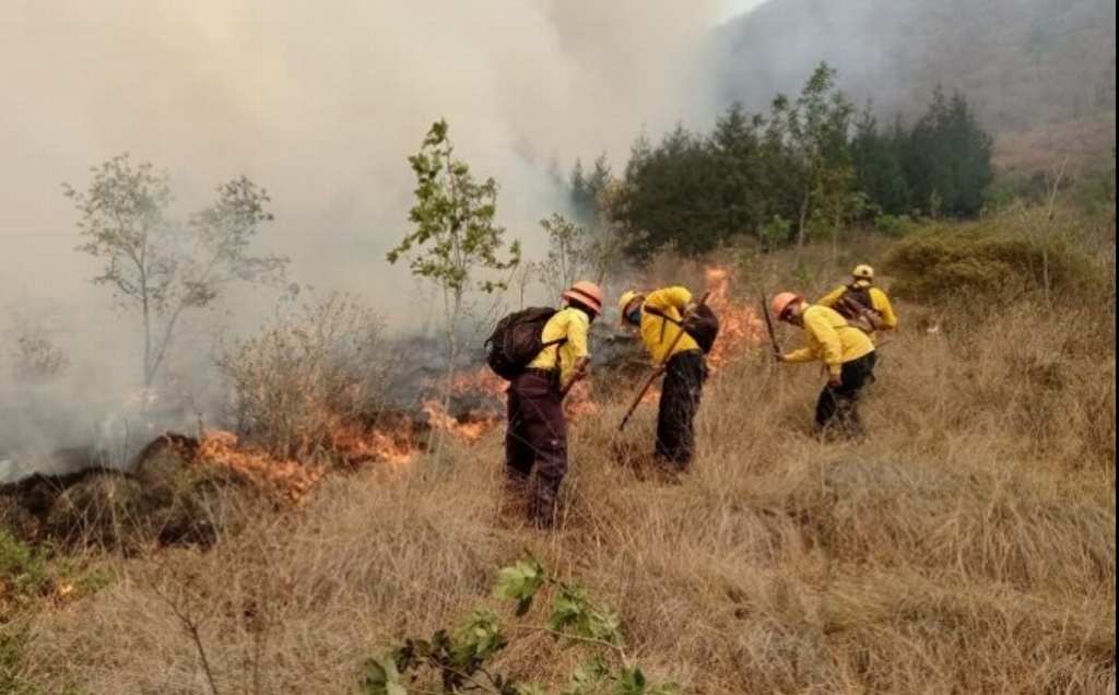 Imagen Incendio en Maltrata, Veracruz consume ocho hectáreas