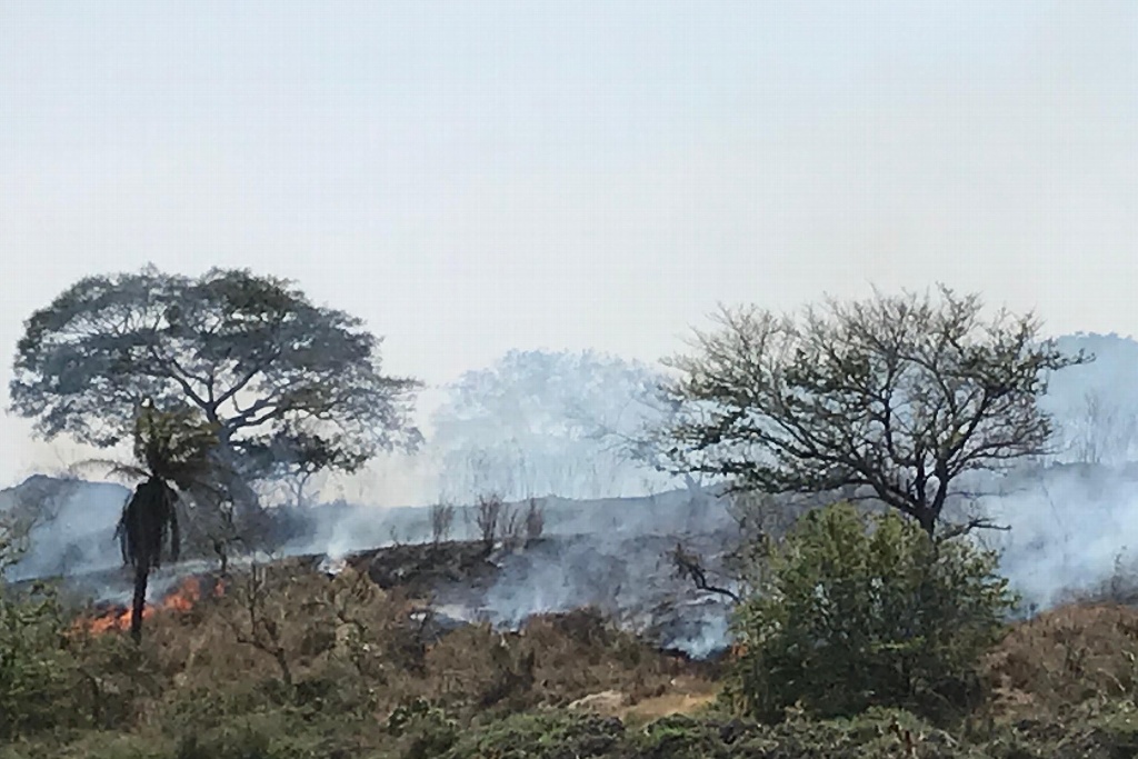 Imagen Habitantes de Bosques de Tarimoya en Veracruz se alarman por fuerte incendio de pastizal 