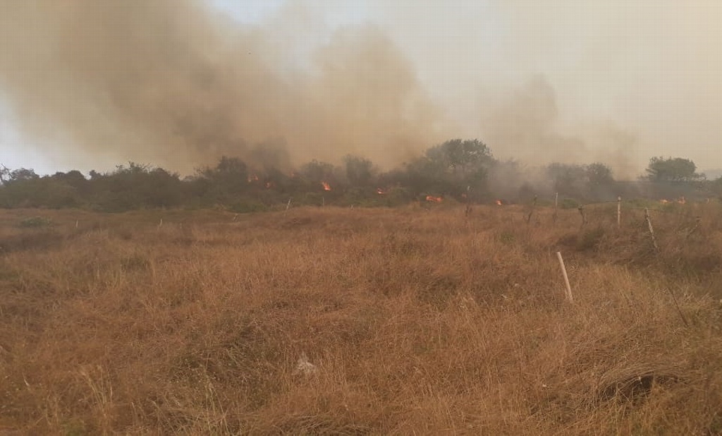 Imagen Reportan incendio de pastizal en la Riviera Veracruzana