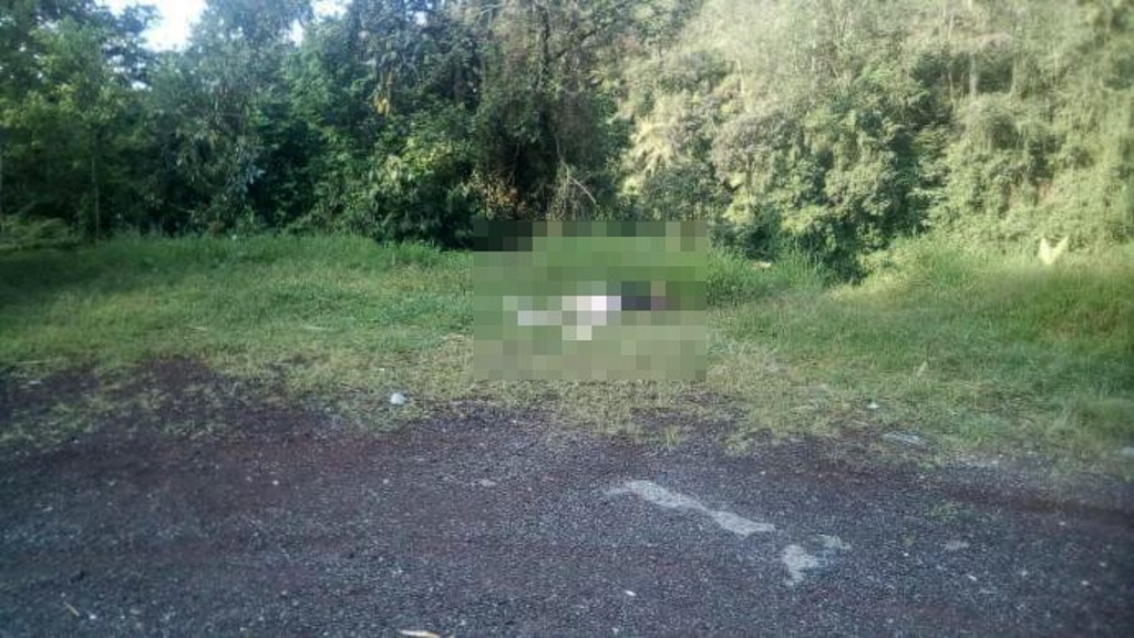Imagen Encuentran cadáver de mujer en carretera de Xico, Veracruz