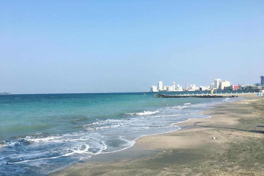 Imagen Oceanógrafo explica razones por las que el mar en Veracruz se pudo ver color turquesa 